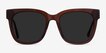 Erica Coffee Acetate, MetalSunglass Frames from EyeBuyDirect, Front View
