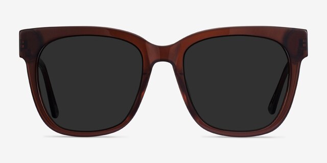 Erica Coffee Acetate-metalSunglass Frames from EyeBuyDirect, Front View