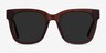 Erica Coffee Acetate-metalSunglass Frames from EyeBuyDirect, Front View