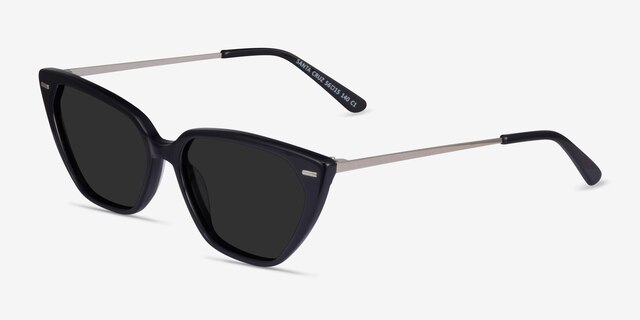 Santa Cruz Black AcetateSunglass Frames from EyeBuyDirect, Angle View