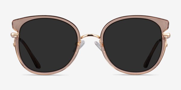 Fascination Clear Brown Gold Acetate Sunglass Frames
