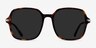 Salvador Tortoise AcetateSunglass Frames from EyeBuyDirect, Front View