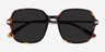 Salvador Tortoise AcetateSunglass Frames from EyeBuyDirect, Closed View