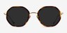 Hinode Tortoise Gold AcetateSunglass Frames from EyeBuyDirect, Front View