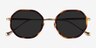 Hinode Tortoise Gold AcetateSunglass Frames from EyeBuyDirect, Closed View