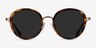 Nagano Tortoise Bronze AcetateSunglass Frames from EyeBuyDirect, Front View