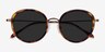 Nagano Tortoise Bronze AcetateSunglass Frames from EyeBuyDirect, Closed View