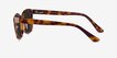 Solis Tortoise Gold AcetateSunglass Frames from EyeBuyDirect, Side View