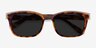 Solis Tortoise Gold AcetateSunglass Frames from EyeBuyDirect, Closed View