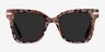 September Brown Floral Gold AcetateSunglass Frames from EyeBuyDirect, Front View