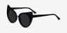 Birman Black Gold AcetateSunglass Frames from EyeBuyDirect, Angle View