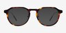 Aim Tortoise AcetateSunglass Frames from EyeBuyDirect, Front View