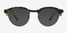 Tommie Tortoise Black AcetateSunglass Frames from EyeBuyDirect, Front View