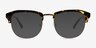 Blume Spotty Tortoise Gold AcetateSunglass Frames from EyeBuyDirect, Front View