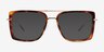 Kiln Tortoise Gold AcetateSunglass Frames from EyeBuyDirect, Front View