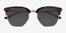 Inlay Tortoise Gold AcetateSunglass Frames from EyeBuyDirect, Closed View