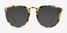 Succession Tortoise AcetateSunglass Frames from EyeBuyDirect, Front View