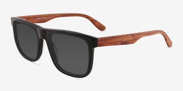 Black Habitat -  Acetate Sunglasses