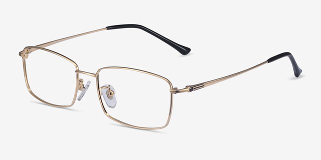 Hobbes Golden TitaniumEyeglass Frames from EyeBuyDirect, Angle View