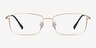 Embark Golden TitaniumEyeglass Frames from EyeBuyDirect, Front View