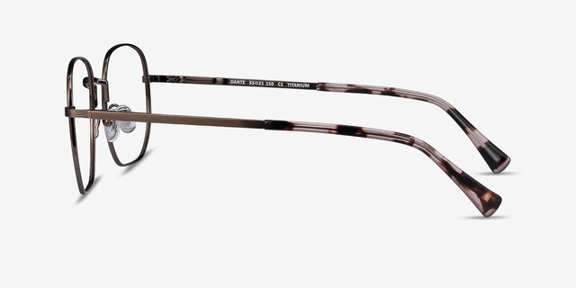 Dante Bronze TitaniumEyeglass Frames from EyeBuyDirect, Side View