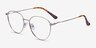Lila Silver TitaniumEyeglass Frames from EyeBuyDirect, Angle View