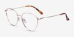 Lila Gold TitaniumEyeglass Frames from EyeBuyDirect, Angle View