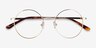 Midtown Gold TitaniumEyeglass Frames from EyeBuyDirect, Closed View