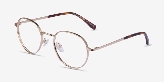 Antone Gold TitaniumEyeglass Frames from EyeBuyDirect, Angle View