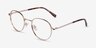 Antone Gold TitaniumEyeglass Frames from EyeBuyDirect, Angle View