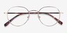 Antone Gold TitaniumEyeglass Frames from EyeBuyDirect, Closed View