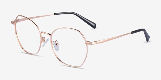 Anissa Rose Gold TitaniumEyeglass Frames from EyeBuyDirect, Angle View