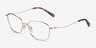Dianele Gold TitaniumEyeglass Frames from EyeBuyDirect, Angle View