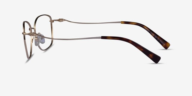 Dianele Gold TitaniumEyeglass Frames from EyeBuyDirect, Side View