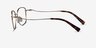 Dianele Gold TitaniumEyeglass Frames from EyeBuyDirect, Side View