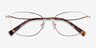 Dianele Gold TitaniumEyeglass Frames from EyeBuyDirect, Closed View