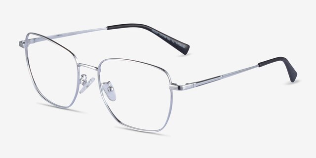 Paolo Gunmetal TitaniumEyeglass Frames from EyeBuyDirect, Angle View
