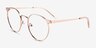 Alsie Rose Gold TitaniumEyeglass Frames from EyeBuyDirect, Angle View