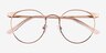 Alsie Rose Gold TitaniumEyeglass Frames from EyeBuyDirect, Closed View