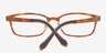 Roseborn Brown PlasticEyeglass Frames from EyeBuyDirect, Closed View