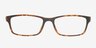 Eutaw Tortoise PlasticEyeglass Frames from EyeBuyDirect, Front View