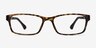 La Paz Tortoise PlasticEyeglass Frames from EyeBuyDirect, Front View