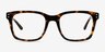 Sumac Tortoise AcetateEyeglass Frames from EyeBuyDirect, Front View