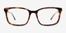 Branch Tortoise AcetateEyeglass Frames from EyeBuyDirect, Front View