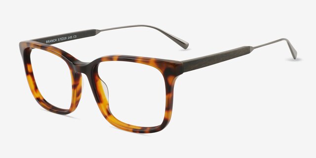 Branch Tortoise AcetateEyeglass Frames from EyeBuyDirect, Angle View