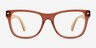 Nature Brown AcetateEyeglass Frames from EyeBuyDirect, Front View