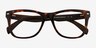 Nature Tortoise AcetateEyeglass Frames from EyeBuyDirect, Closed View