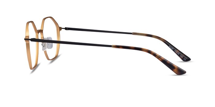 Alloy Gold & Black Aluminium-alloy Eyeglass Frames from EyeBuyDirect