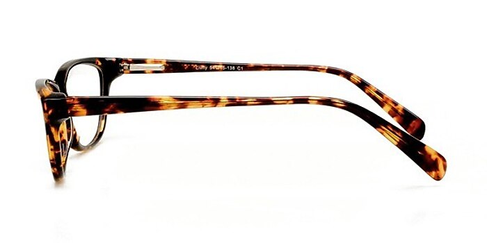 Livny Tortoise Acetate Eyeglass Frames from EyeBuyDirect