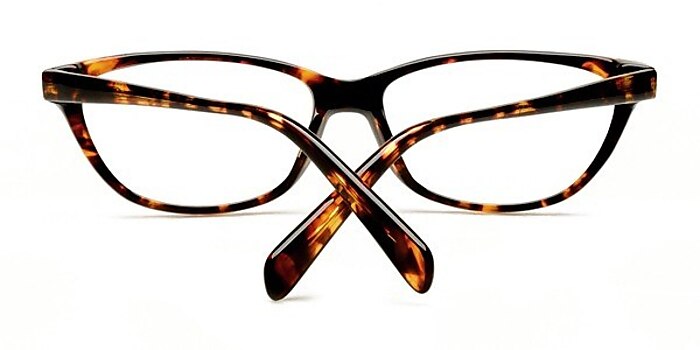 Tortoise Livny -  Acetate Eyeglasses